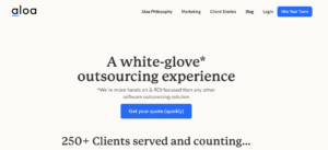 aloa hire developers